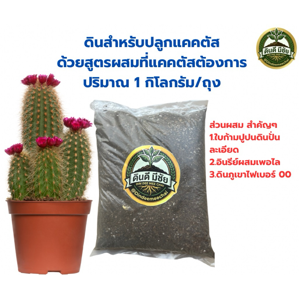ดินสำหรับแคคตัส สูตรพรีเมี่ยม สารอาผารครบ