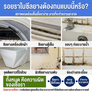 💦ขจัดเชื้อราได้ทันที❌เจลกำจัดเชื้อรา น้ำยาขจัดเชื้อรา กำจัดเชื้อรา คราบราดำละลายเอง ฉีดแล้วทิ้งไว้ ล้างออกได้เลย