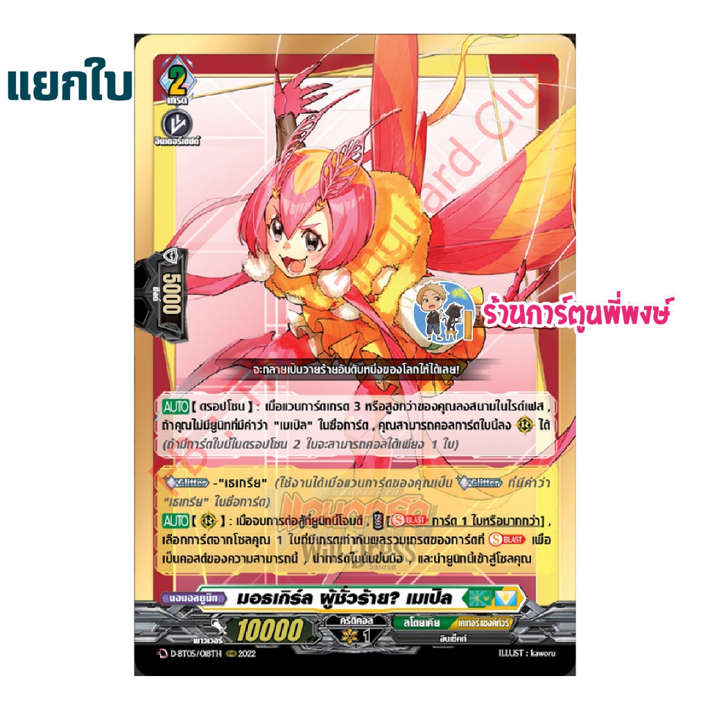 รูปภาพ 4