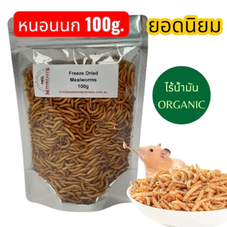 หนอนนกอบแห้ง 100 กรัม เป็นอาหารเสริมโปรตีนสำหรับสัตว์เลี้ยง มีโปรตีนที่สูง ไขมันต่ำ ส่งด่วนทุกวัน