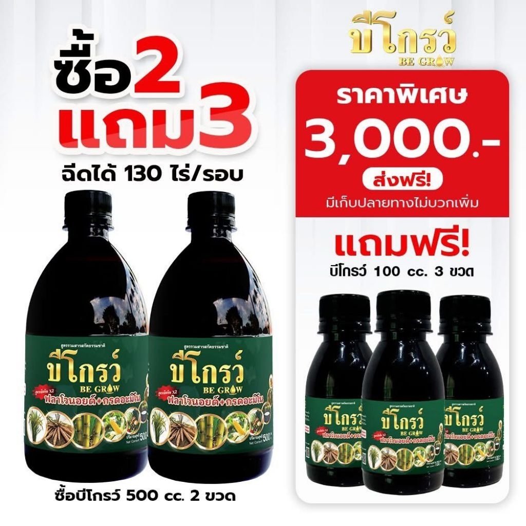 บีโกรว์ ฮอร์โมนพืช เร่งโต ใบเขียว ป้องกันโรคและแมลง ของแท้ ส่งฟรี [2 แถม 3]