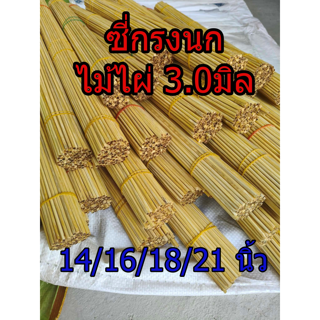 ซี่กรงนก 3.0มิล ซี่ไม้ไผ่ สวยๆ ขนาด14/16/18/21นิ้ว