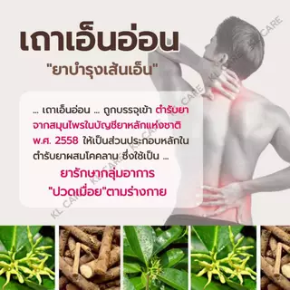 ยาสมุนไพร เถาเอ็นอ่อน บรรเทาปวดกล้ามเนื้อ ปวดข้อเข่า 100 แคปซูล ของแท้