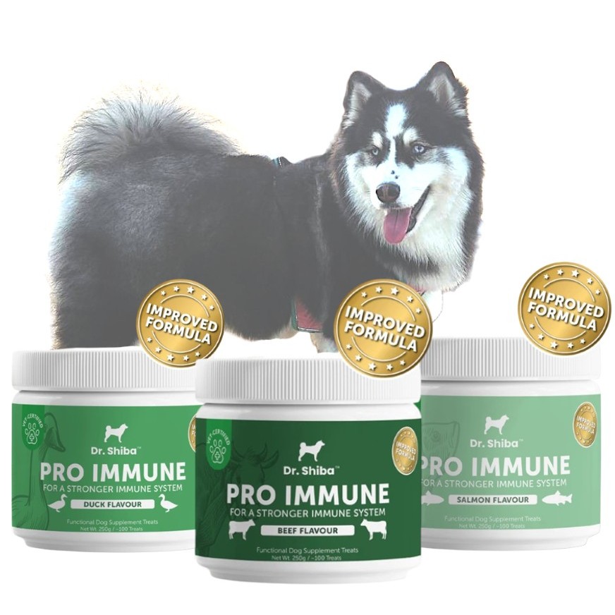 Dr. Shiba Pro Immune - Dog Treats ขนมสุนัขเสริมภูมิคุ้มกัน เนื้อ/แซลมอน 250 กรัม