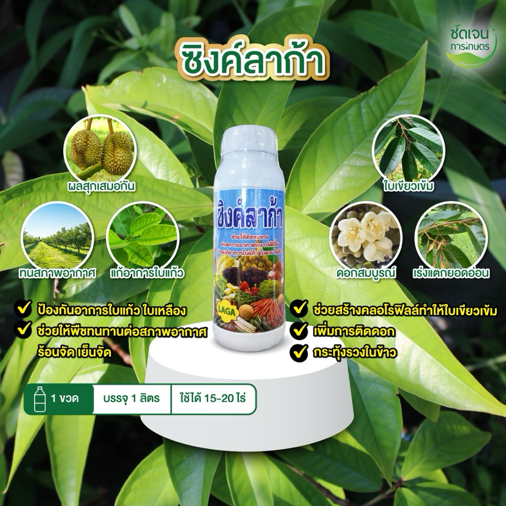 ซิงค์ลาก้า ทนทุกสภาพอากาศหนาวจัดร้อนจัด ขนาด1 ลิตร ใช้ได้15-20ไร่
