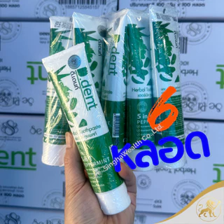 D Dent ยาสีฟันดีเดนท์ 5 in 1 ยาสีฟันสมุนไพร 100 g ของแท้จากบริษัท(ร้านโค้ดคุ้ม ! ส่งฟรี) [ 6 หลอด ]