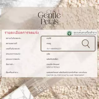 ทรีทเมนท์บำรุงผม เพียงหมักแล้วสระ ลดผมร่วง ทรีทเม้นท์บำรุงผม น้ำมันละหุ่ง ออยล์บำรุงผม ลดรังแค