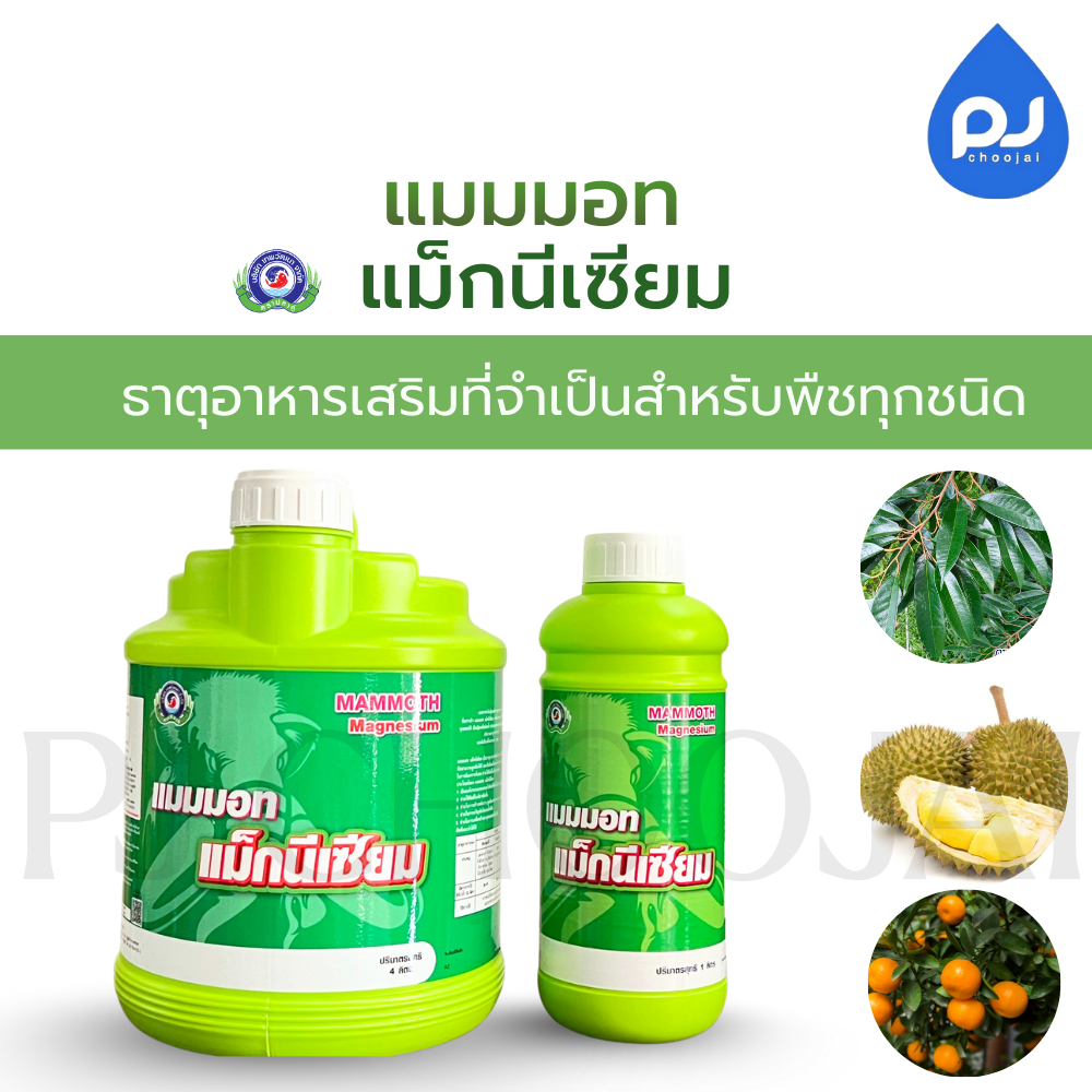อาหารเสริมแมมมอท แม็กนีเซียม