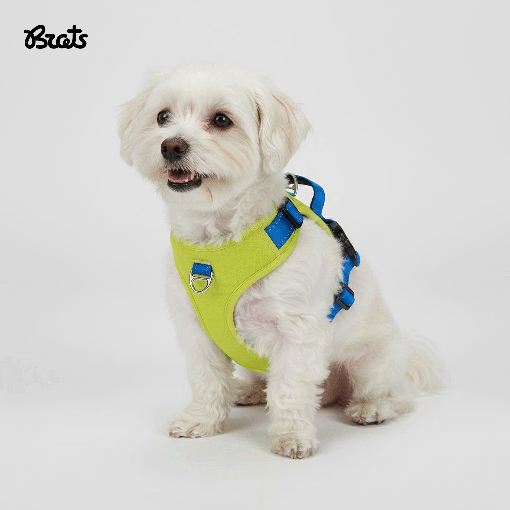 Brats Pet No Pull Dog Harness - Adjustable Anti-Pull Walking Harness - Breathable & Easy Control