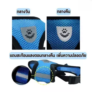 PETStar1🥇สายรัดสุนัขและแมว🥇 สวมใส่ง่าย ป้องกันการสูญหาย สายรัดแมว สายรัดสุนัข S-XL