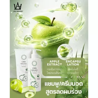 CHIA Organic Anti Hair Loss Shampoo เชียแชมพูออร์แกนิค แชมพูบิ๊ก แชมพูจ๊ะ