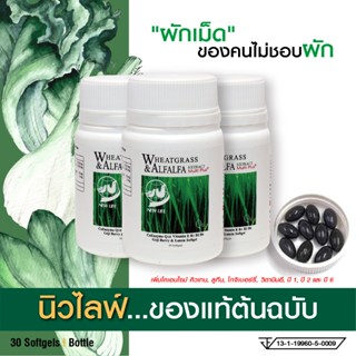 ผักเม็ดนิวไลฟ์ ของแท้ต้นฉบับ เสริมภูมิ บำรุงสมองดูแลดวงตา by…