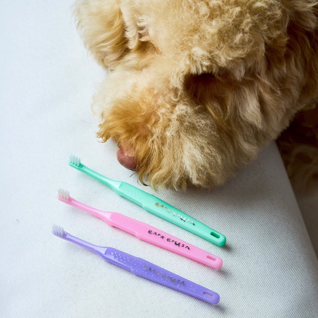 Bark Brush แปรงสีฟันสัตว์สำหรับหมาและแมว (dog and cat toothbrush)