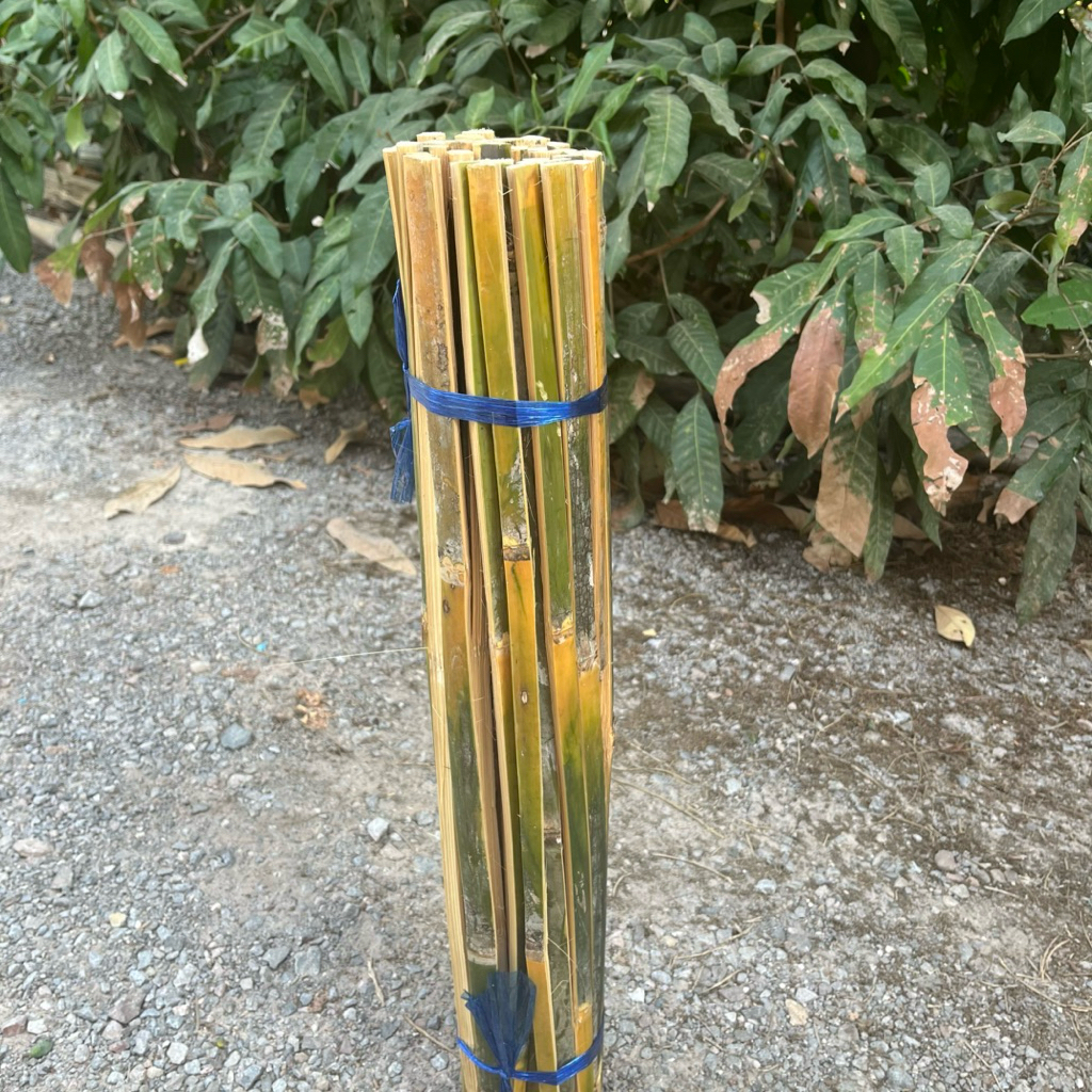 ไม้หลักปักต้นไม้ ยาว 60 เซนติเมตร 1 มัดมี 45 อัน ปลายแหลม ไม้ยึดต้นไม้ ไม้ไผ่ผ่าซีก สินค้าพร้อมจัดส่ง - รูปที่ 2