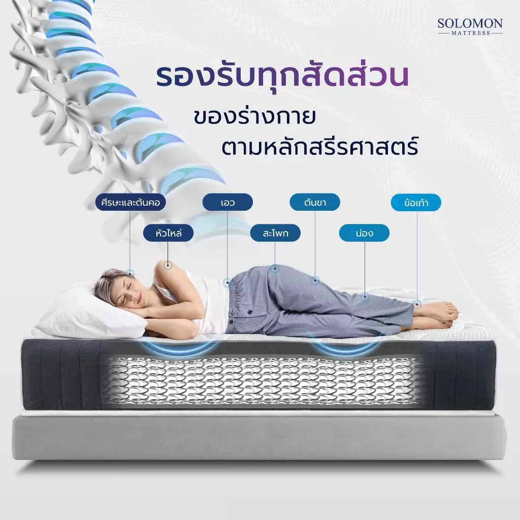 Solomon ที่นอนสปริง รุ่น Pyla Plus หนา 9 นิ้ว thumbnail 4