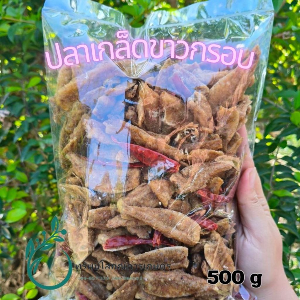 ปลาเกล็ดขาวอบกรอบ โปรตีนสูง ไม่ผสมแป้ง รสเผ็ด 500 กรัม