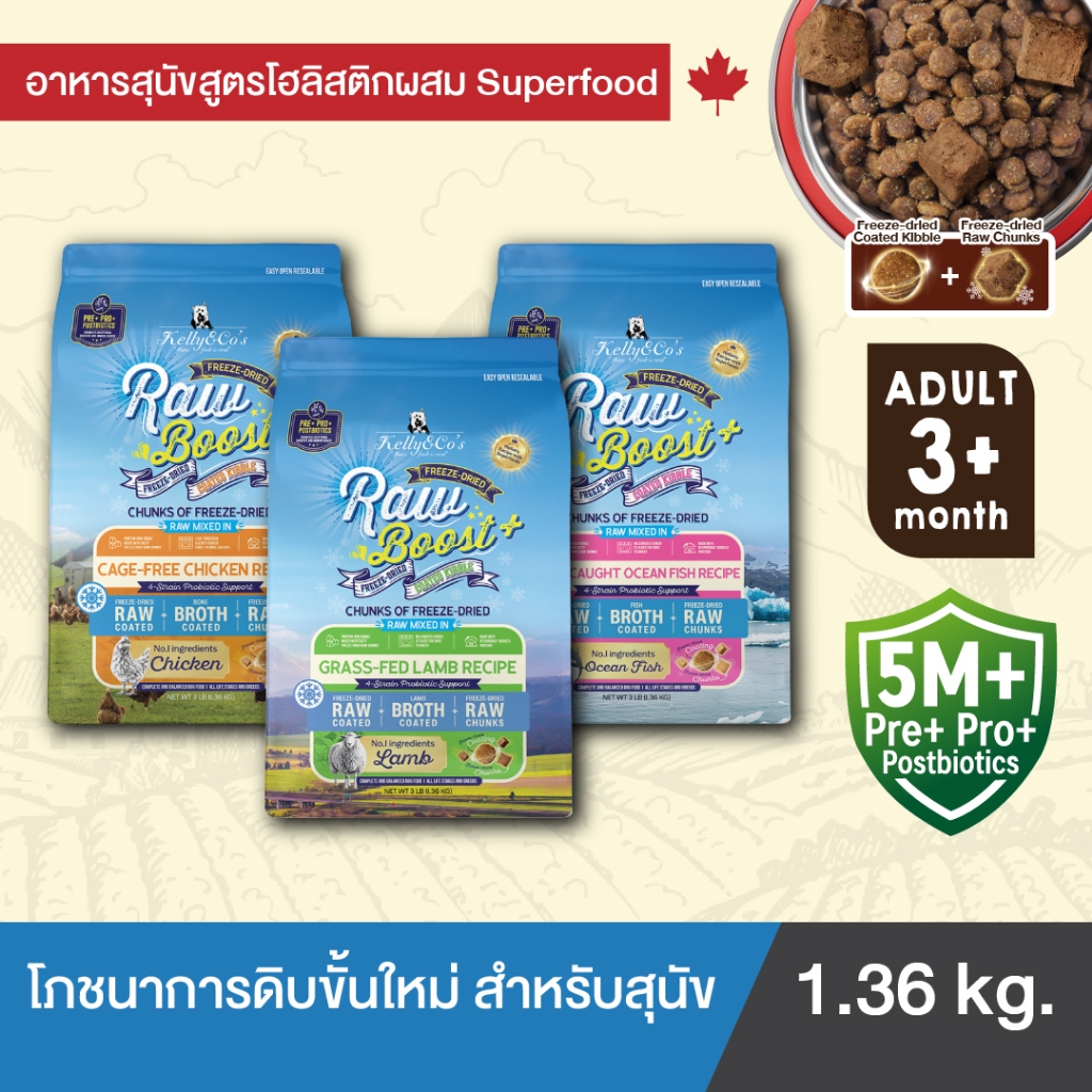 เคลลี่แอนด์โค รอว์บูสพลัส อาหารสุนัขเม็ดเคลือบฟรีซดรายผสมฟรีซดรายชิ้นโต ขนาด 1.36 กก. (Grain-free)