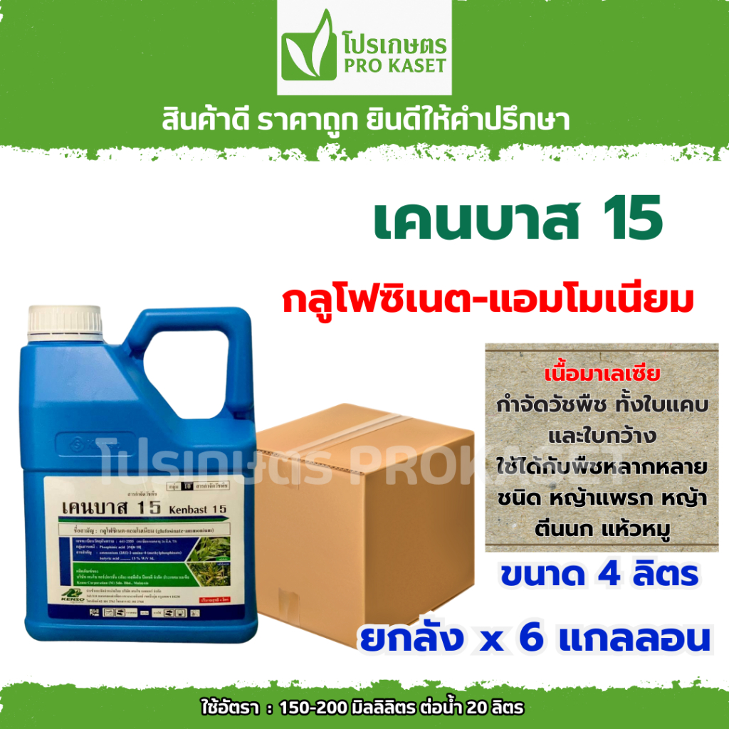 **ยกลัง6แกลลอน**เคนบาส 15 ขนาด 4 ลิตร (กลูโฟซิเนต-แอมโมเนียม) สารกำจัดวัชพืชฉีดคันนา ลูบข้าวดีด ทั้งใบกว้าง และใบแคบ