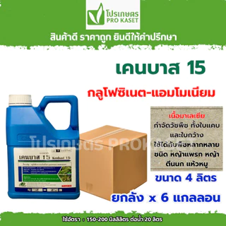 **ยกลัง6แกลลอน**เคนบาส 15 ขนาด 4 ลิตร (กลูโฟซิเนต-แอมโมเนียม) สารกำจัดวัชพืชฉีดคันนา ลูบข้าวดีด ทั้งใบกว้าง และใบแคบ