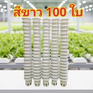 ถ้วยปลูกผักไฮโดรโปนิกส์ 100 ใบ เกรด Premium คุณภาพคับถ้วย