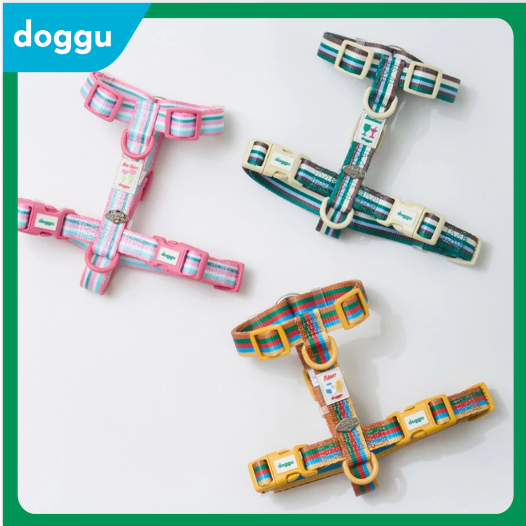 [พร้อมส่ง] DOGGU H-Harness ชุดสายรัดอก พร้อมสายจูงยาว 180 ซม. ไม่ร้อน ไม่บาดผิว รุ่น Cherish เชอริช