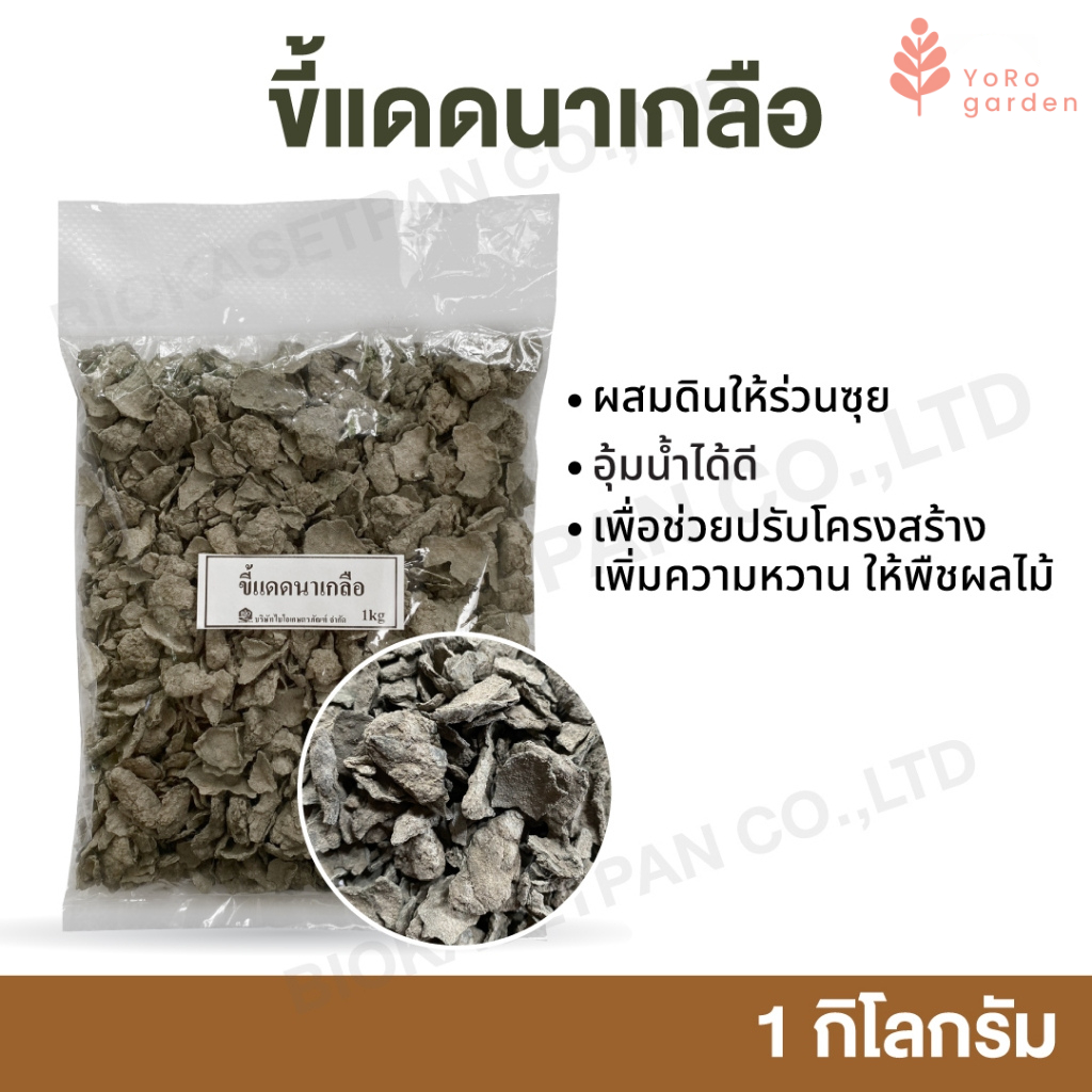 ขี้แดดนาเกลือ 1 กิโล อุ้มน้ำได้ดี สามารถใช้ในการปลูกพืช เพื่อช่วยปรับโครงสร้างดินให้ร่วนซุยขึ้น เพิ่มความหวาน ให้พืช
