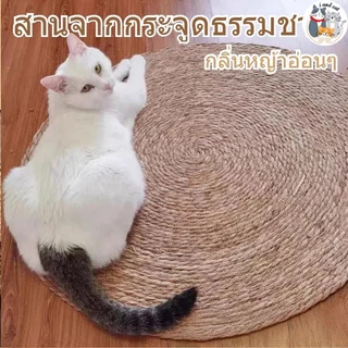 I&CAT🌾เสื่อลับเล็บแมว ถักทอจากหวาย พรมลับเล็บแมว ลับเล็บแมว ที่นอนแมว เตียงแมว ฝนเล็บแมว ของเล่นแมว