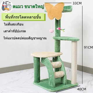 คอนโดแมวไม้ ใหญ่พิเศษ เสาลับเล็บแมว หลุมอวกาศใส กล่องนอนสองชั้น โครงปีนแมว ของเล่นครบ