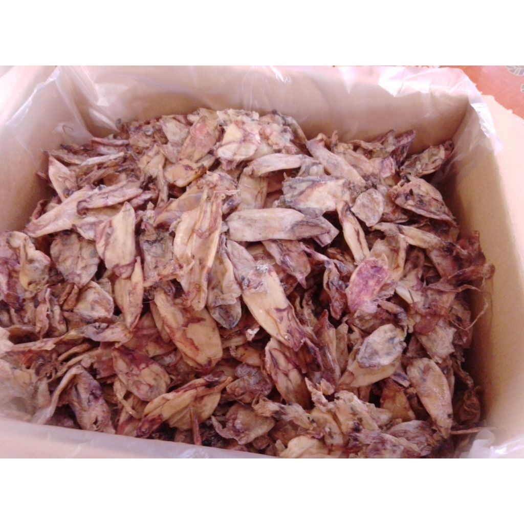 ปลาหมึกแห้งAA++(เนื้อดีสีสวย)1 กิโลกรัม และ 500 กรัม