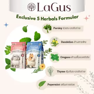 Lagus - อาหารเม็ดสำหรับกระต่าย 1kg