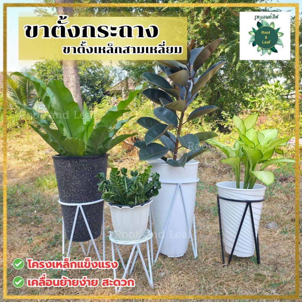 ขาตั้งกระถาง ขาตั้งเหล็กสามเหลี่ยม มี 3 ขนาด และมี 2 สี วัสดุโครงเหล็กแข็งแรง เคลื่อนย้ายง่าย ทนทาน ไม่แตกหัก