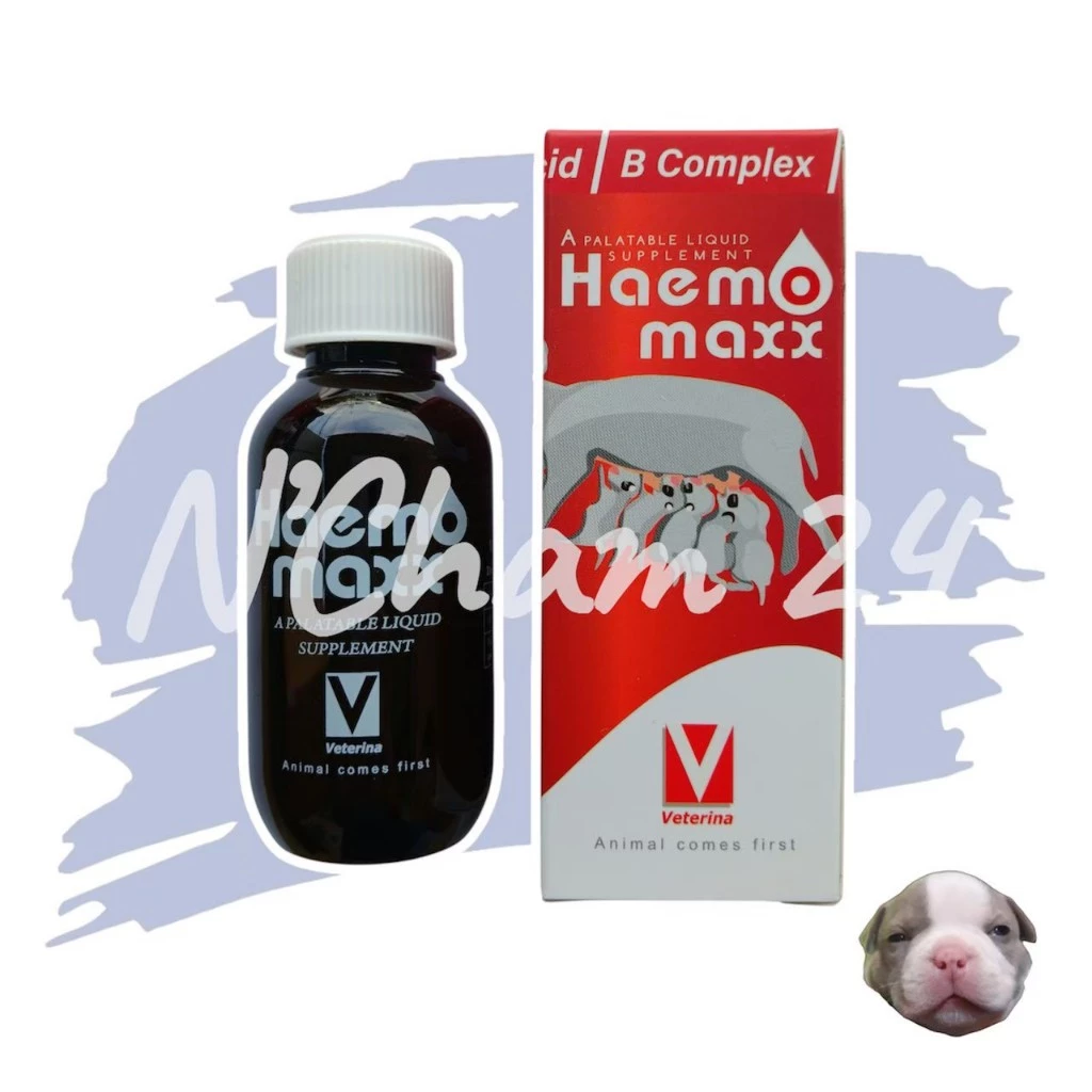 Haemomaxx 100ml (Exp.12/2027) วิตามิน เหมาะกับลูกสุนัข ลูกแมว แม่สุนัขหลังคลอดลูกหรือให้นมลูก