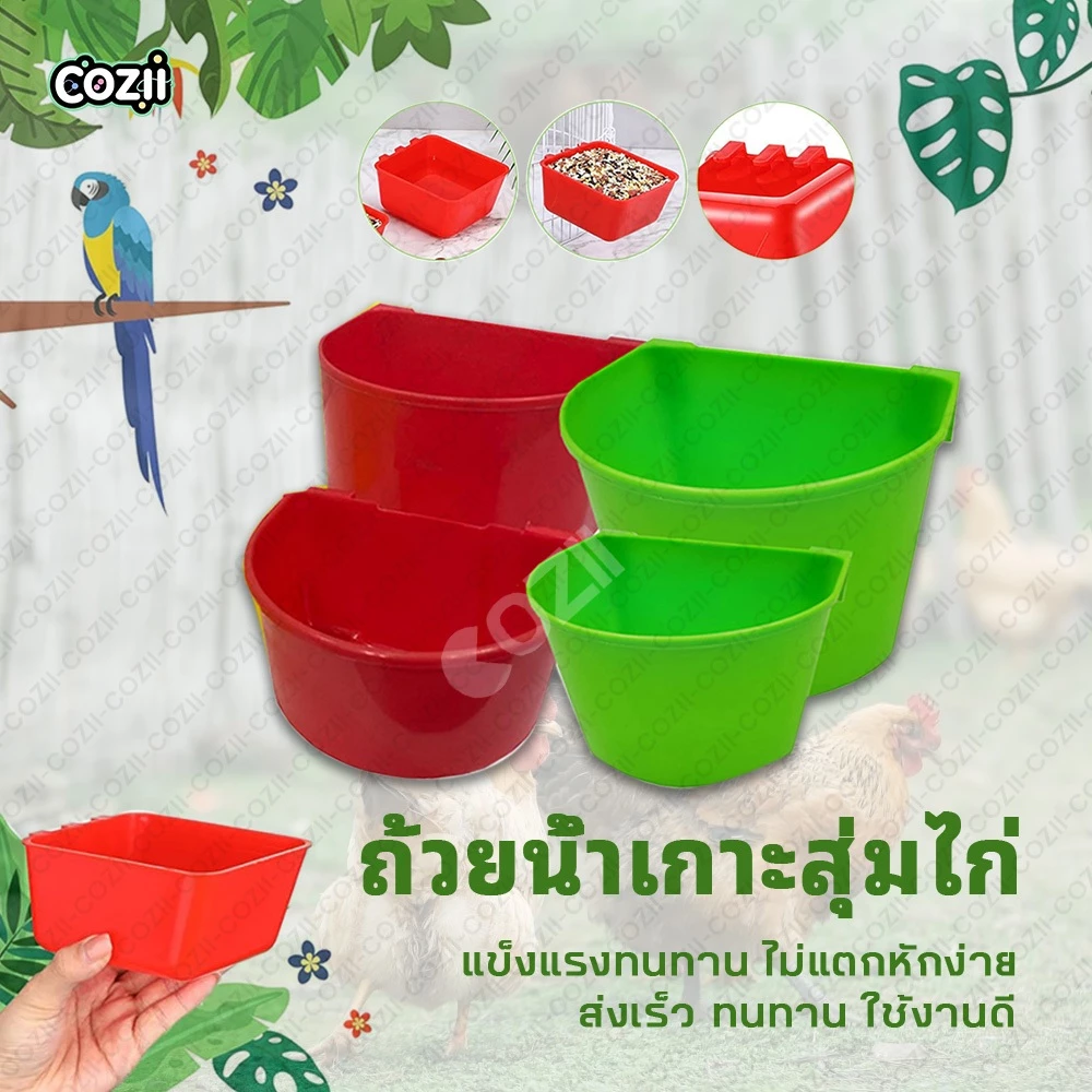 COZII ถ้วยน้ำไก่-สัตว์ปีก นก ไก่ชน เกาะสุ่ม ติดตั้งง่าย