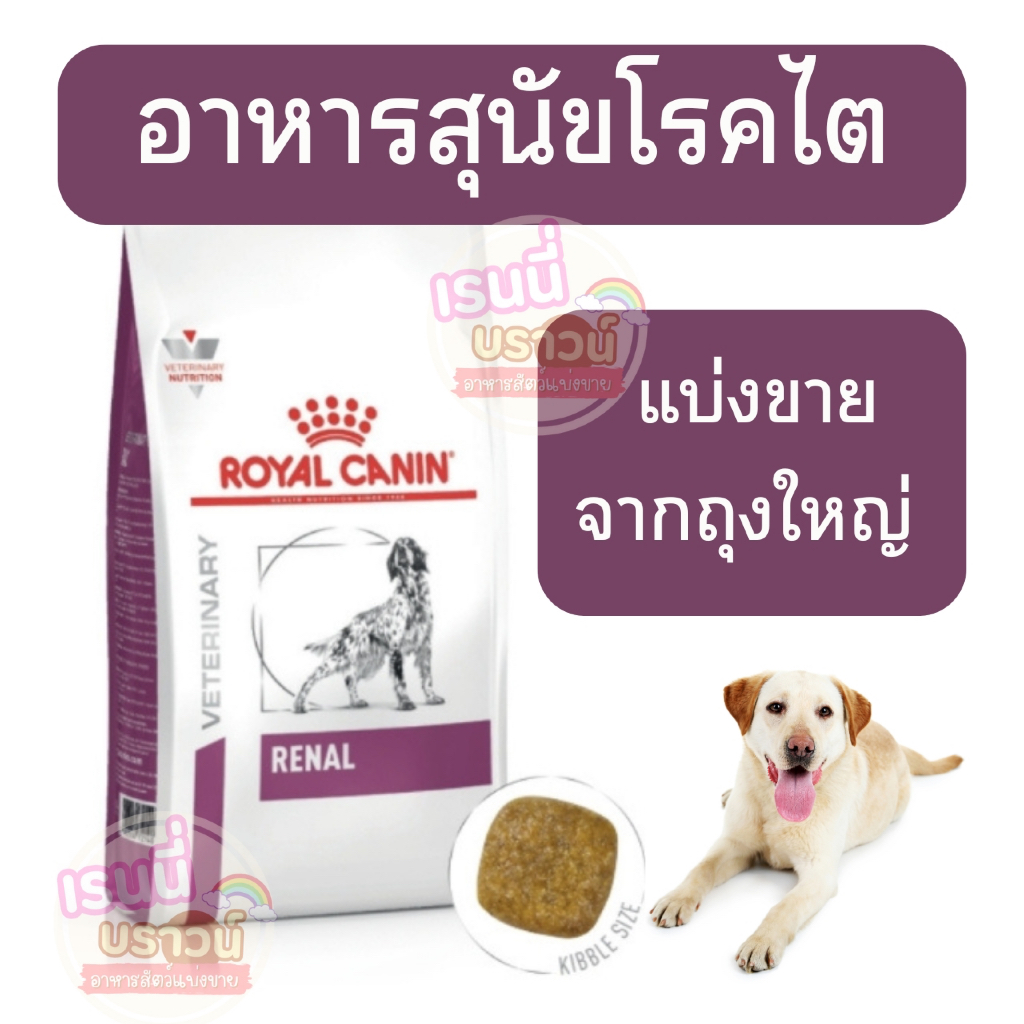 ส่งด่วนมาก+ผ่อนได้⚡️[[หมาพันธ์ใหญ่โรคไต]] ((แบ่งขาย)) อาหารสุนัข Royal Canin Renal เป็นโรคไต