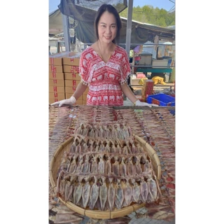 หมึกแพ ไม่เค็ม ใหม่ๆ หอมๆ น้ำหนัก 500 กรัม