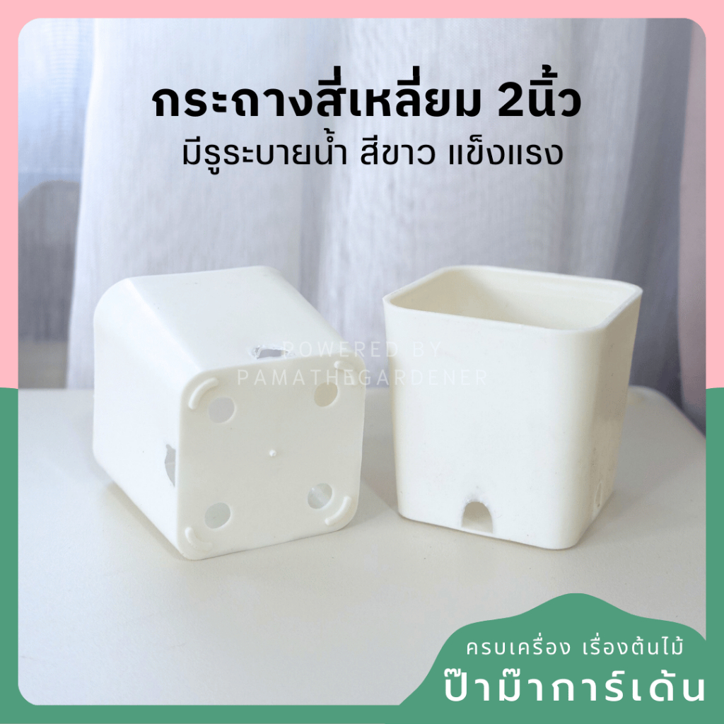 2-inch Square Plastic Pot with Drainage Holes
