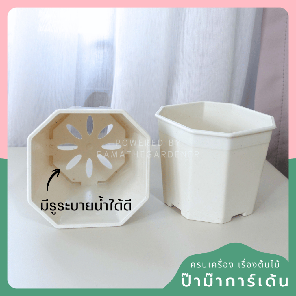 4-inch Octagonal Planter (In Stock) - View 3