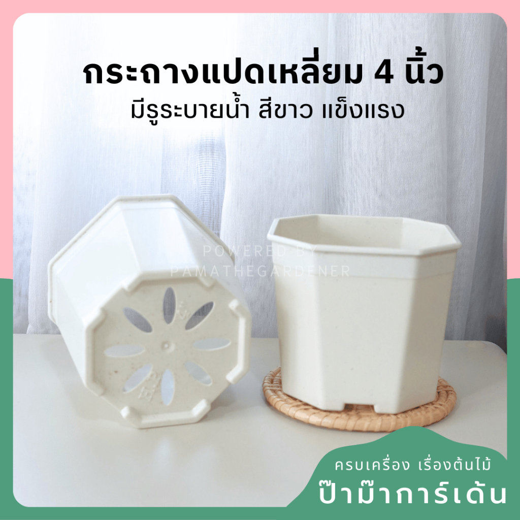 4-inch Octagonal Planter (In Stock)