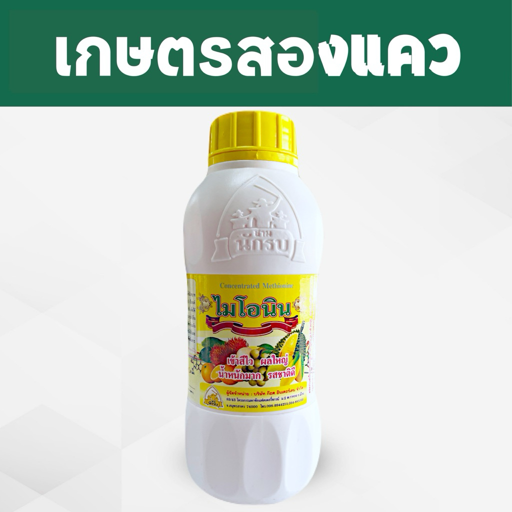 ไมโอนิน : เข้าสีไว ผลใหญ่ น้ำหนักมาก รสชาติดี ไม่บีบลูก ขนาด1ลิตร