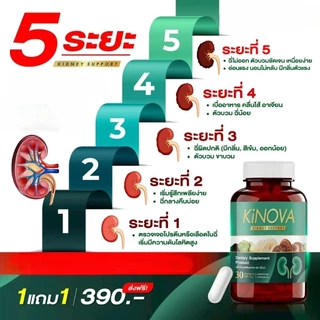 โปร 1แถม1 คิโนว่า Kinova ผลิตภัณฑ์เสริมอาหาร บำรุงไต กระปุกละ 30แคปซูล
