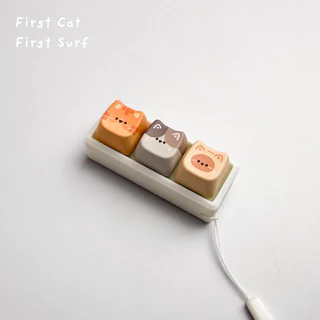 คีย์บอร์ดแมว ASMR เลือกลายได้ 🐱 ของเล่นคลายเครียด เสียงกดเพลิน ของแต่งโต๊ะน่ารัก Cat Keyboard Cute Desk Setup