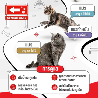 [ลดแล้ว][1โหล]Royal Canin Instinctive อาหารเปียก รอยัลคานิน เพาซ์ สำหรับแมวทั่วไป 85g*12ซอง