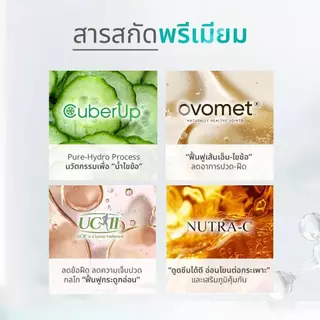 [ส่งด่วน] Well Flex เวลวีเนส เวล เฟล็กซ์ โกล์ด บำรุงกระดูก ไขข้อ เส้นเอ็น อาหารเสริม ข้อต่อ กระดูกอ่อน