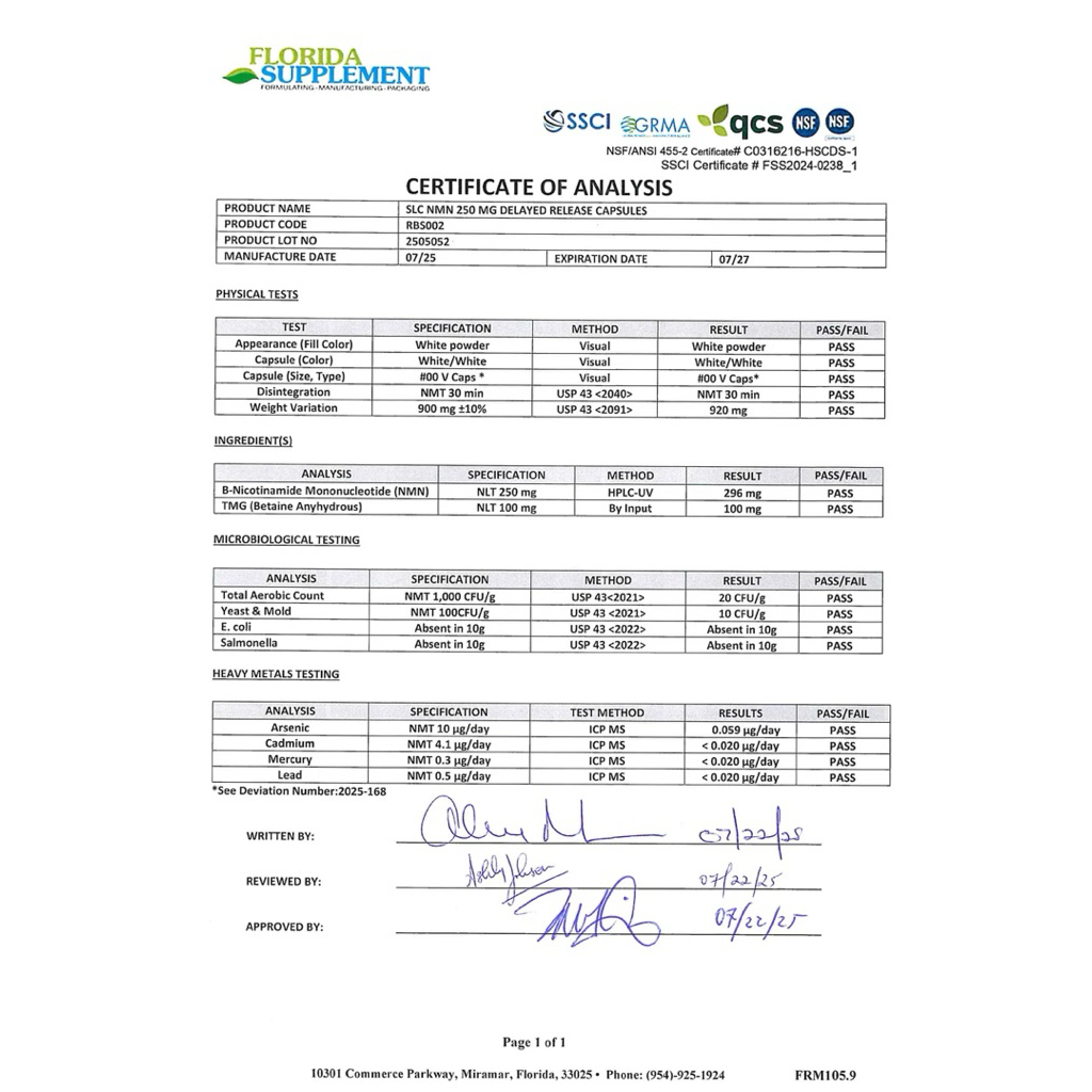 รูปภาพ 5