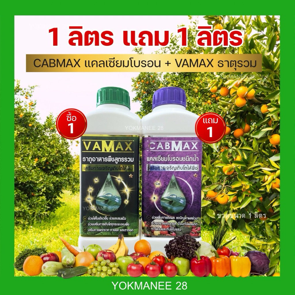 CABMAXแคลเซียมโบรอน 1 ลิตร แถม VAMAXธาตุอาหารรวม 1 ลิตร (C1+V1)