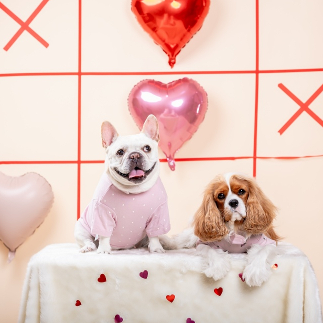 💕 Favchild Tiny Heart Pet Bodysuit | Valentine’s Collection