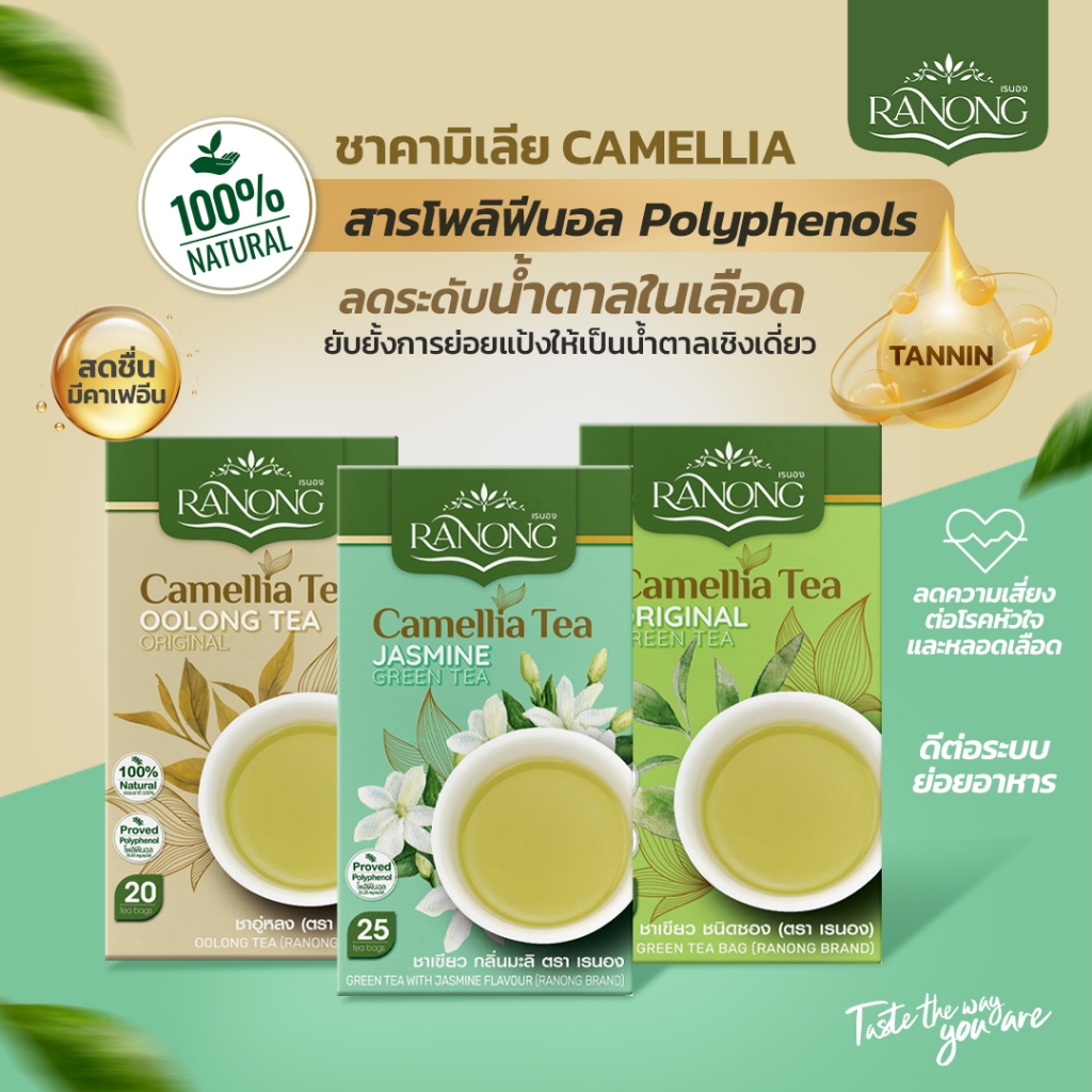 Ranong ชาคามิเลีย Camellia Tea เรนอง 3 สูตร กินง่าย ไม่ขม หอม