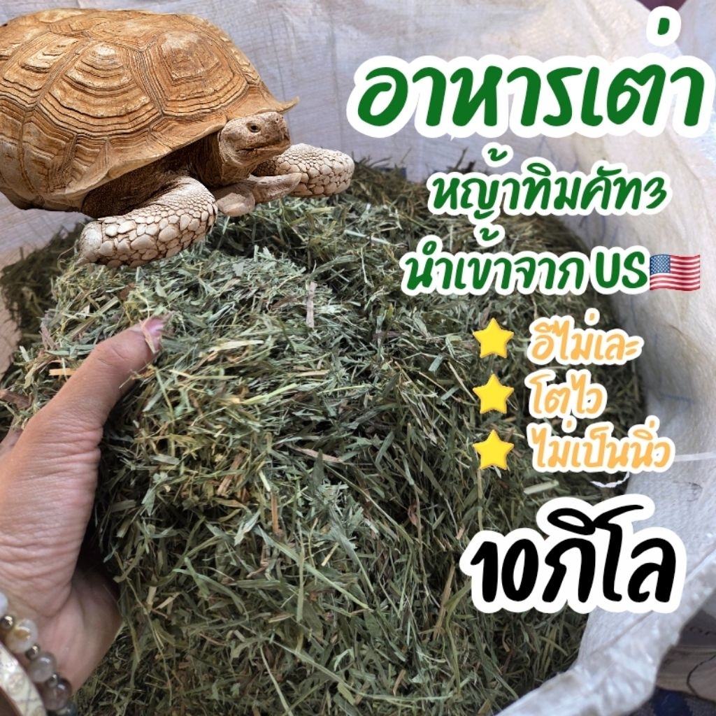 หญ้าทิโมธีป่น อาหารเต่า คุกกี้กระต่ายขายส่ง 10 กิโล