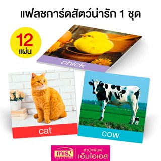 MISBOOK แฟลชการ์ดสัตว์น่ารัก 1 ชุด 12 แผ่น | flash card | กา…