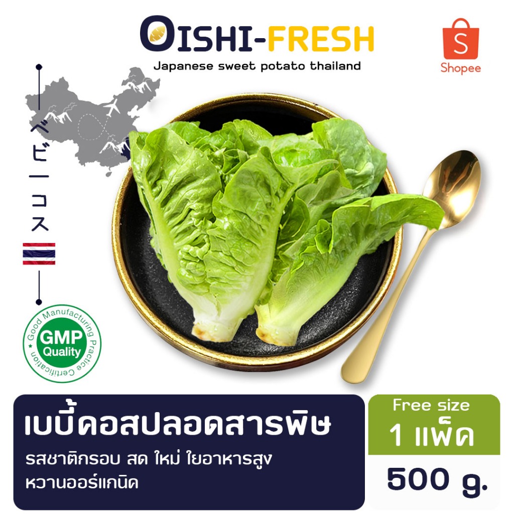 🛒Oishi-Fresh🥬 เบบี้คอส ปลอดสารพิษ 1 กก. รสชาติกรอบ สด ใหม่ ใยอาหารสูง หวานออร์แกนิค เคลมได้ 1-2 วัน